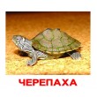 Картки Домана Домашні тварини російська мова Вундеркінд з пелюшок