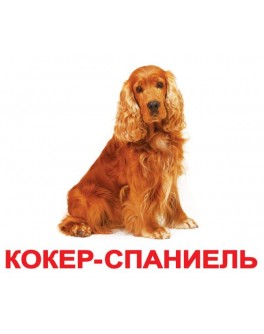 Картки Домана Породи собак російська мова Вундеркінд з пелюшок
