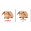 Картки Домана міні Домашні тварини французько-російські Вундеркінд з пелюшок