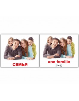 Картки Домана міні Сім'я французько-російські Вундеркінд з пелюшок