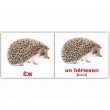 Картки Домана міні Дикі тварини французько-російські Вундеркінд з пелюшок
