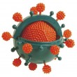 Набір для експериментів Ein-O Вірус (E2371VS)