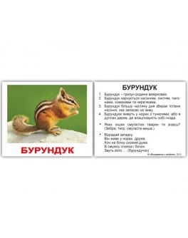 Картки Домана міні Дикі тварини укр. мова Вундеркінд з пелюшок