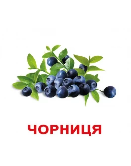 Картки Доману Ягоди укр. мова Вундеркінд з пелюшок