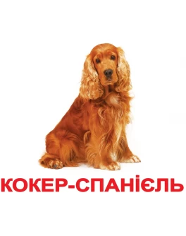 Картки Домана Породи собак укр. мова Вундеркінд з пелюшок