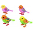 Музыкальная птичка Digi Birds (794) - mlt 794
