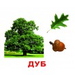 Картки Домана Дерева російська мова Вундеркінд з пелюшок