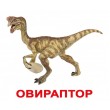 Картки Домана Динозаври російська мова Вундеркінд з пелюшок