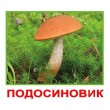 Картки Домана міні Гриби російська мова Вундеркінд із пелюшок