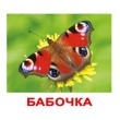 Картки Домана Комахи російська мова Вундеркінд з пелюшок