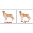 Картки Домана міні Домашні тварини німецько-російські Вундеркінд з пелюшок