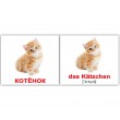 Картки Домана міні Домашні тварини німецько-російські Вундеркінд з пелюшок