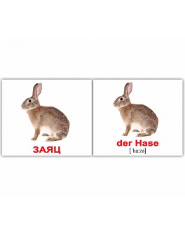 Картки Домана міні Дикі тварини німецько-російські Вундеркінд з пелюшок