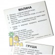 Картки Домана міні Фрукти з фактами російська мова Вундеркінд з пелюшок