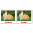 Картки Домана міні Домашні тварини англо-російські Вундеркінд з пелюшок