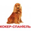 Картки Домана Породи собак укр. мова Вундеркінд з пелюшок