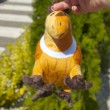 М'яка іграшка Італійський мем з Тік Току Бурбалоні Луліолі (Burbaloni Lulioli) Капібара в кокосі
