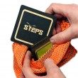 Настільна гра STEPS GAMES Степс. Міні (Steps Mini) SG032301