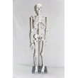 Модель об'ємна демонстраційна Скелет людини 85 см