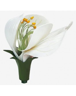 Модель об'ємна демонстраційна Квітка гороху біла