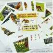 Картки міні Домашні тварини 110х110 мм - RK 65945