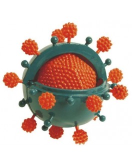Набір для експериментів Ein-O Вірус (E2371VS) - MD E2371VS