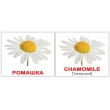 Картки Домана міні Квіти англо-російські Вундеркінд з пелюшок - WK 2100063476328
