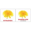 Картки Домана міні Квіти англо-українські Вундеркінд з пелюшок - WK 2100063276324