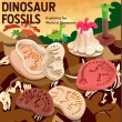 Тісто для ліплення Динозаври, 5 кольорів тіста, молди (5833 C)