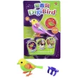 Музыкальная птичка Digi Birds (794) - mlt 794