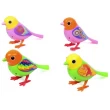 Музыкальная птичка Digi Birds (794) - mlt 794