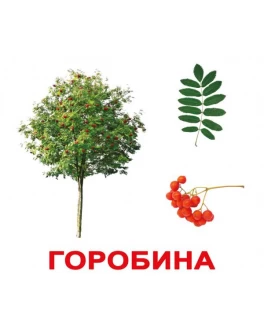 Картки Домана Дерева укр. мова Вундеркінд з пелюшок - WK 2100064097034