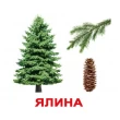 Картки Домана Дерева укр. мова Вундеркінд з пелюшок - WK 2100064097034
