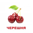 Картки Домана Ягоди російська мова Вундеркінд з пелюшок