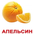 Картки Домана Моя перша валіза Вундеркінд з пелюшок