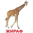 Картки Домана Моя перша валіза Вундеркінд з пелюшок