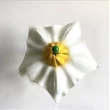 Модель об'ємна демонстраційна Квітка картоплі біла