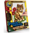 Набір для творчості Danko Toys Килимова вишивка Punch needle - mlt Punch needle