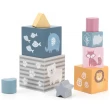 Дерев'яні кубики-пірамідка Viga Toys PolarB Сортуємо і складаємо (44016)